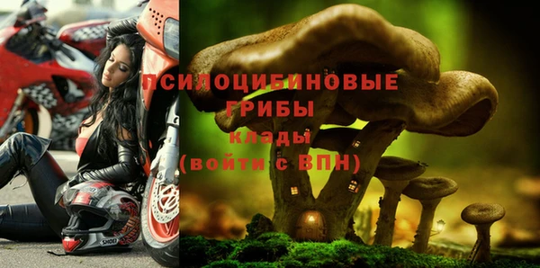 бошки Абаза