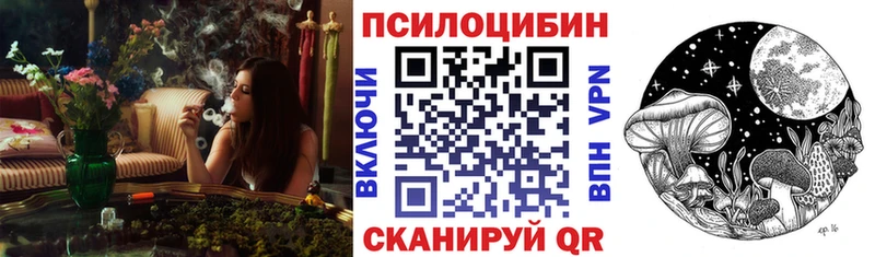 Псилоцибиновые грибы Psilocybine cubensis Нефтегорск